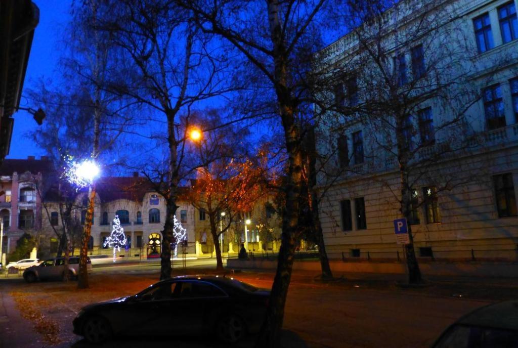 Konzul -Top Apartment, Strict Center, Parking Осиек Экстерьер фото