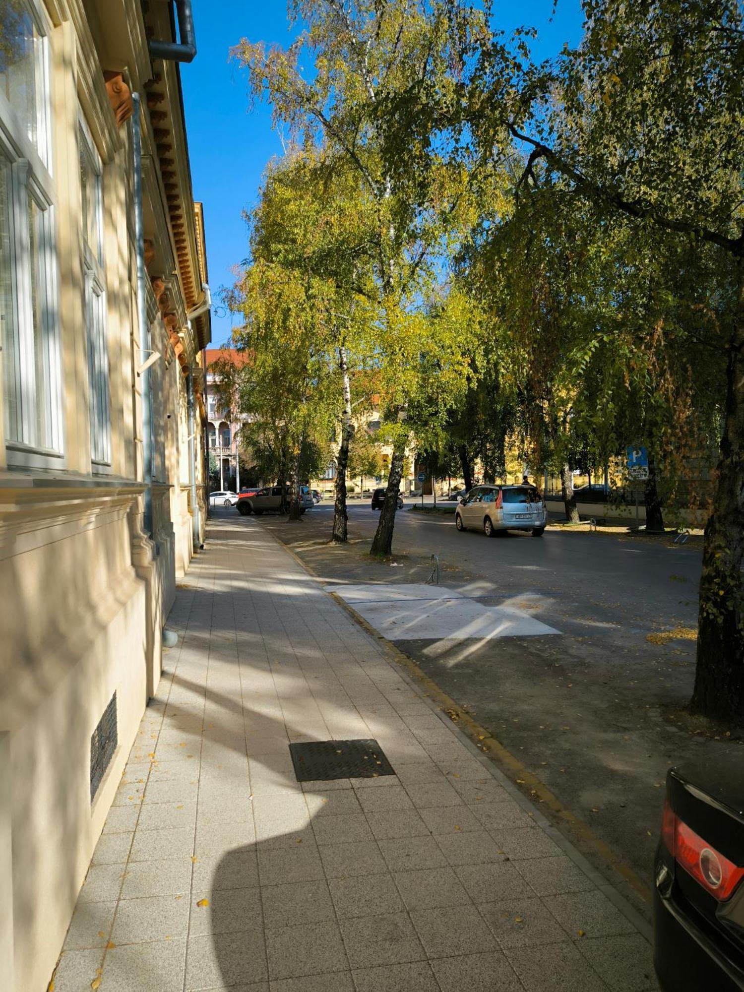 Konzul -Top Apartment, Strict Center, Parking Осиек Экстерьер фото